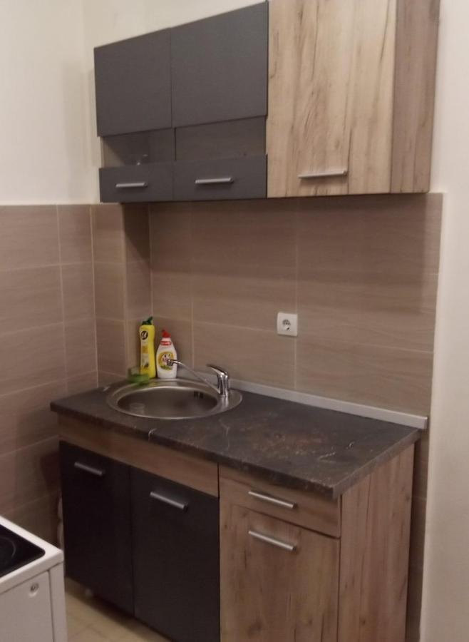 Lux Apartment Rose 2 60M2 Kragujevac Esterno foto